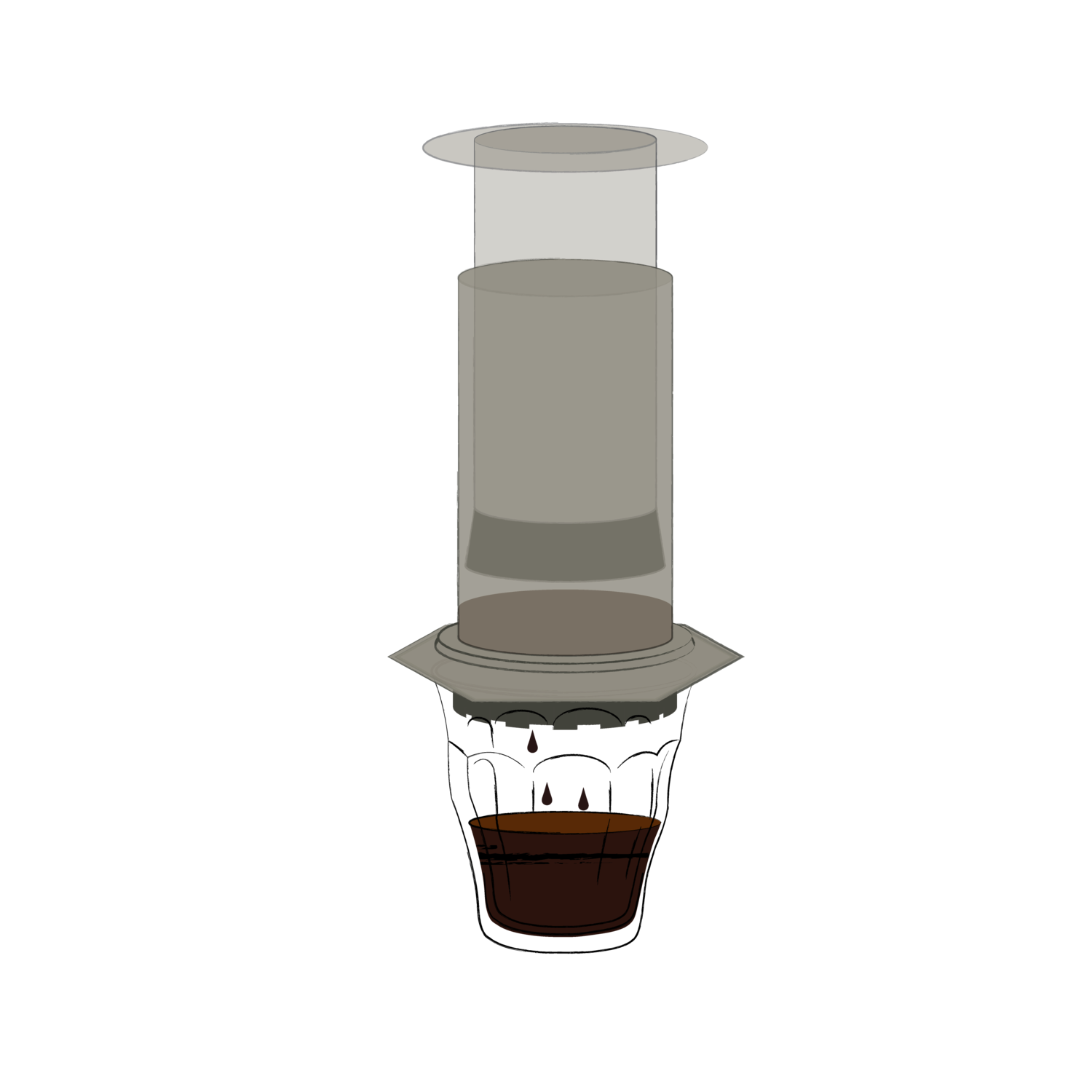 Aeropress Brew Guide