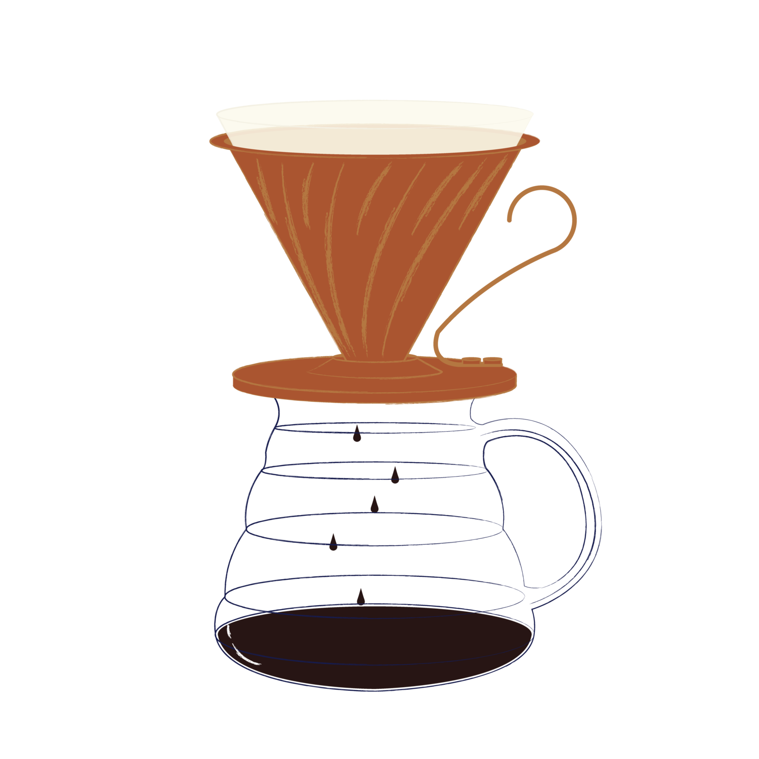 V60 Brew Guide