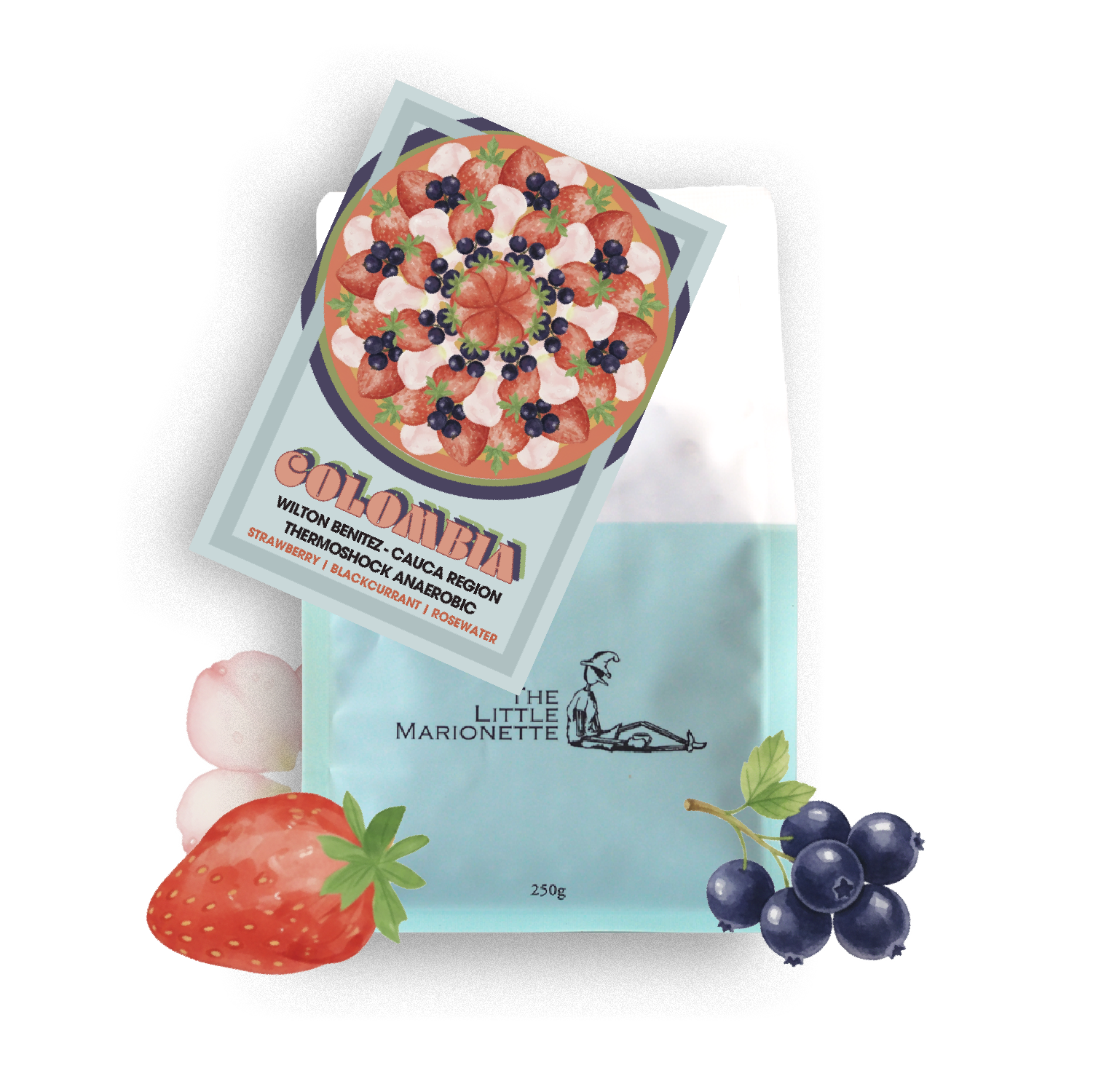 Colombia |  Wilton Benitez - Cauca Region