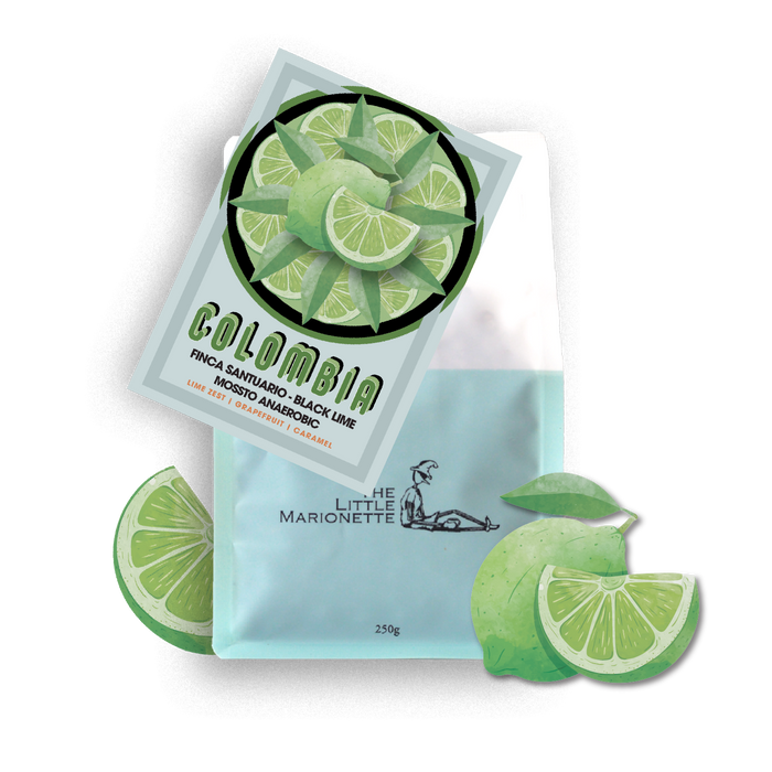 Colombia |  Finca Santuario - Black Lime