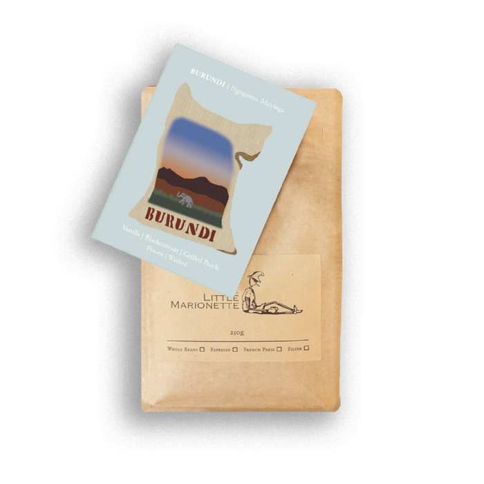 single origin coffee bag by The Little Marionette 250g